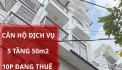 Căn hộ DV 5 lầu thu nhập 50tr/tháng ô tô đỗ cửa Trần Xuân Soạn Q.7